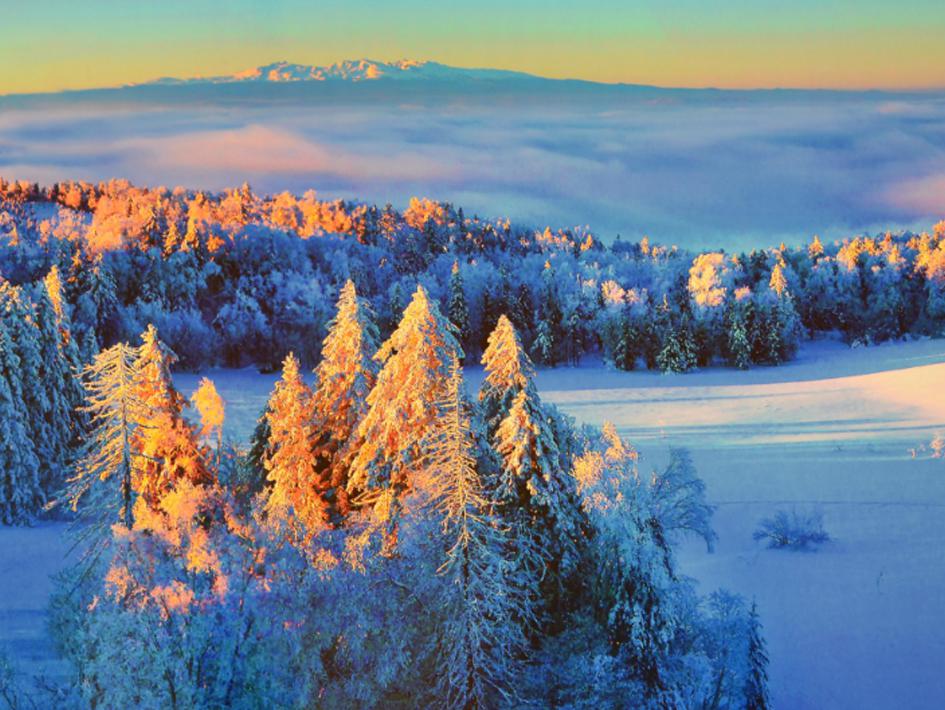 属羊的今年的财运如何 属羊人2022年财运方位