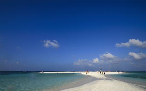 2021年12月份的生肖龙的财运如何 运势起伏不大