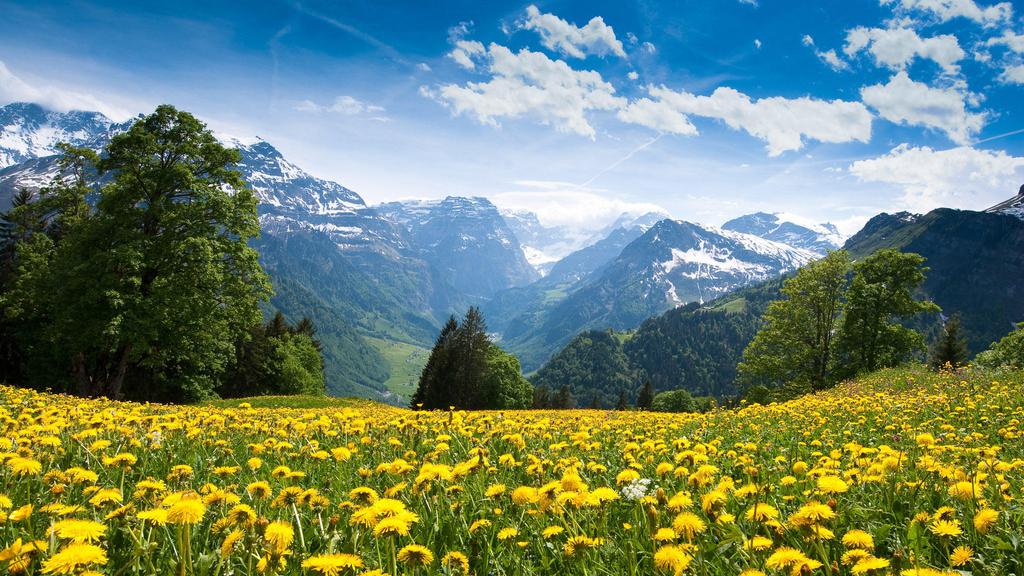 2022年鸡犯太岁吗 脚踏实地切勿心急