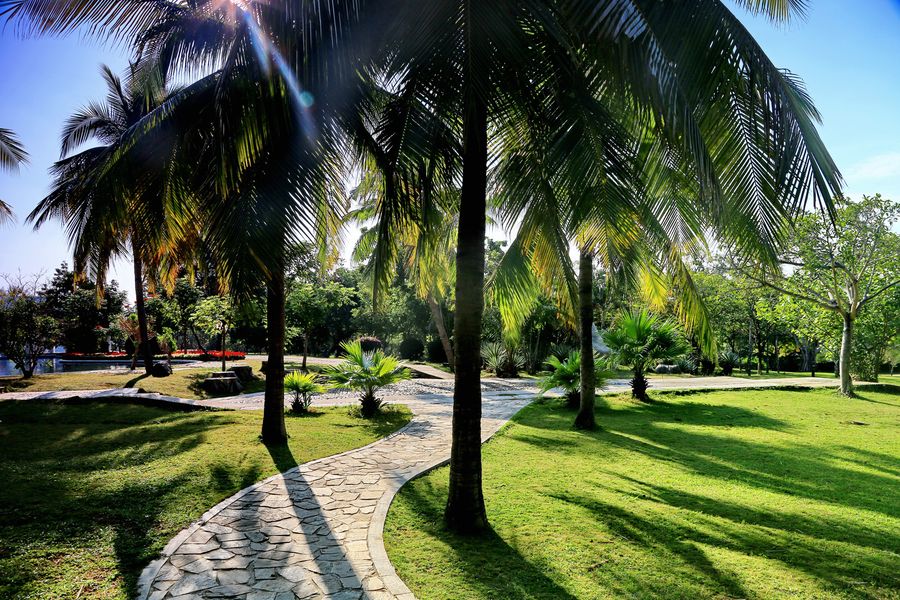 属猪的富豪出生在几月 几月猪能够赚大钱