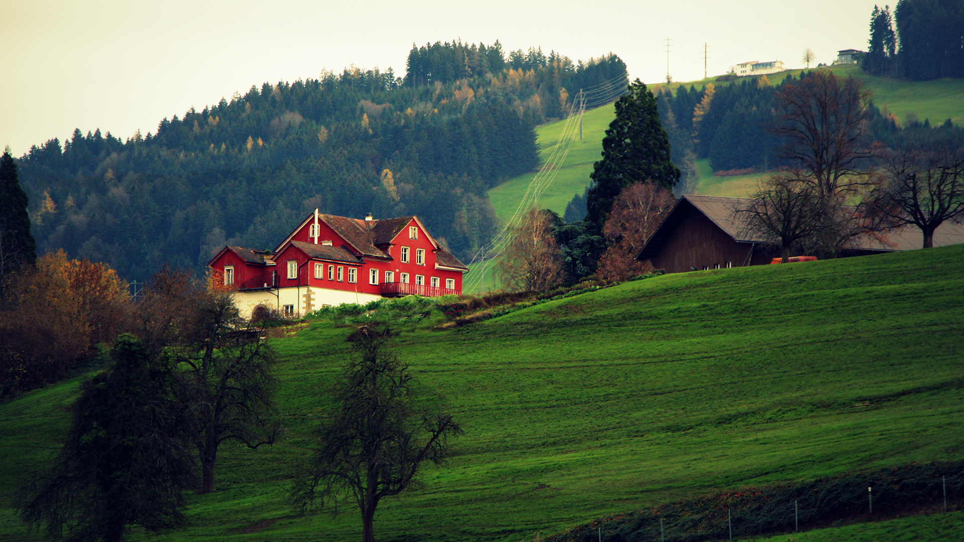 最能事业有成的生肖女 同事支持领导赏识
