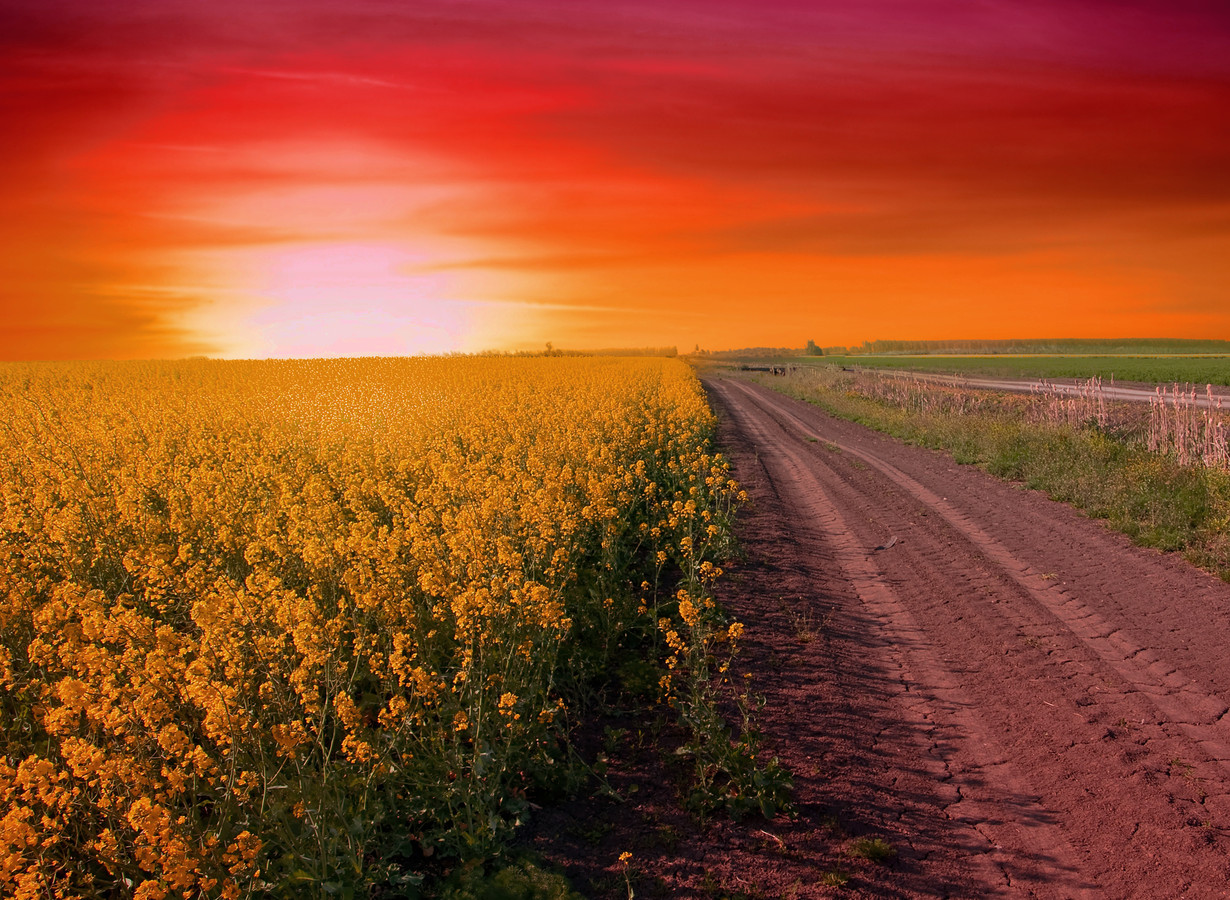 实力强的可怕的生肖女 善良大方的属龙女