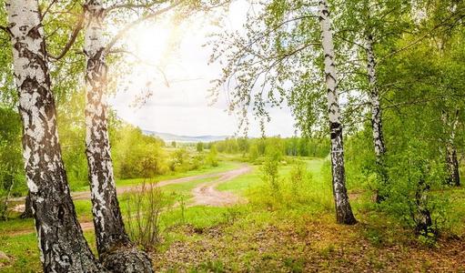 2022年桃花劫生肖女 机敏活泼的生肖猴