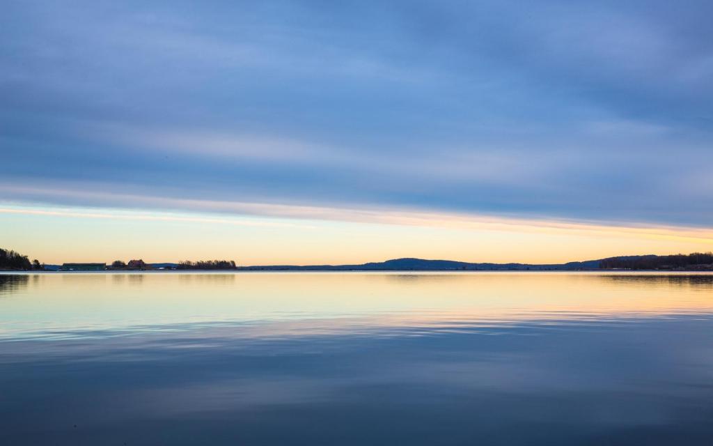 适合做大生意生肖女 聪明情商高的属猴女