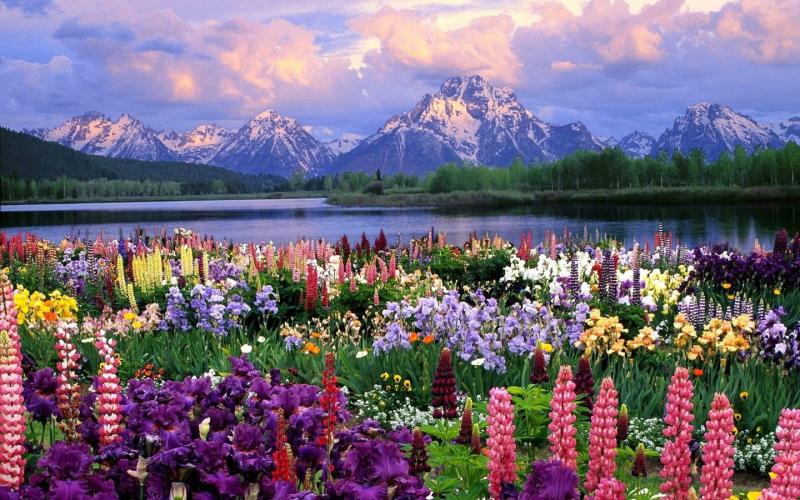 什么生肖与属蛇生肖相冲你知道吗？