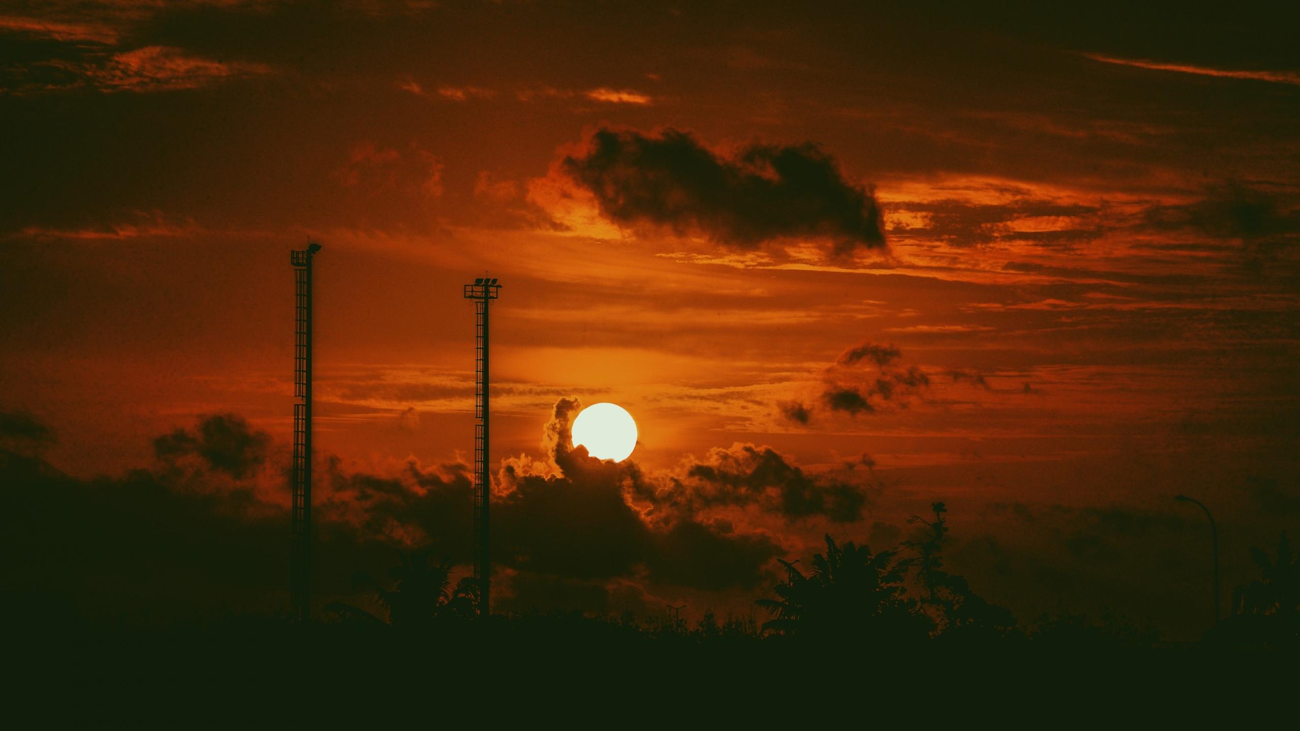 性格孤高不合群的四大生肖