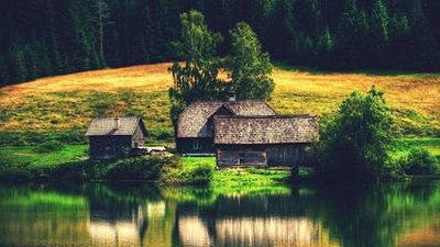 属猪女为什么选择离开一段爱情