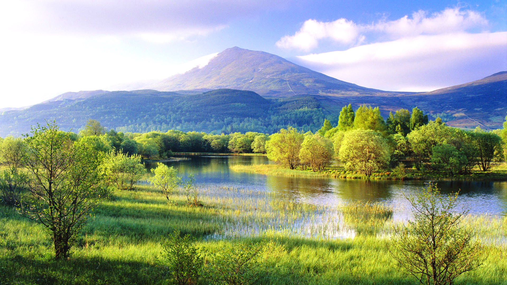属猪的适合住什么楼层最好 住几楼大吉