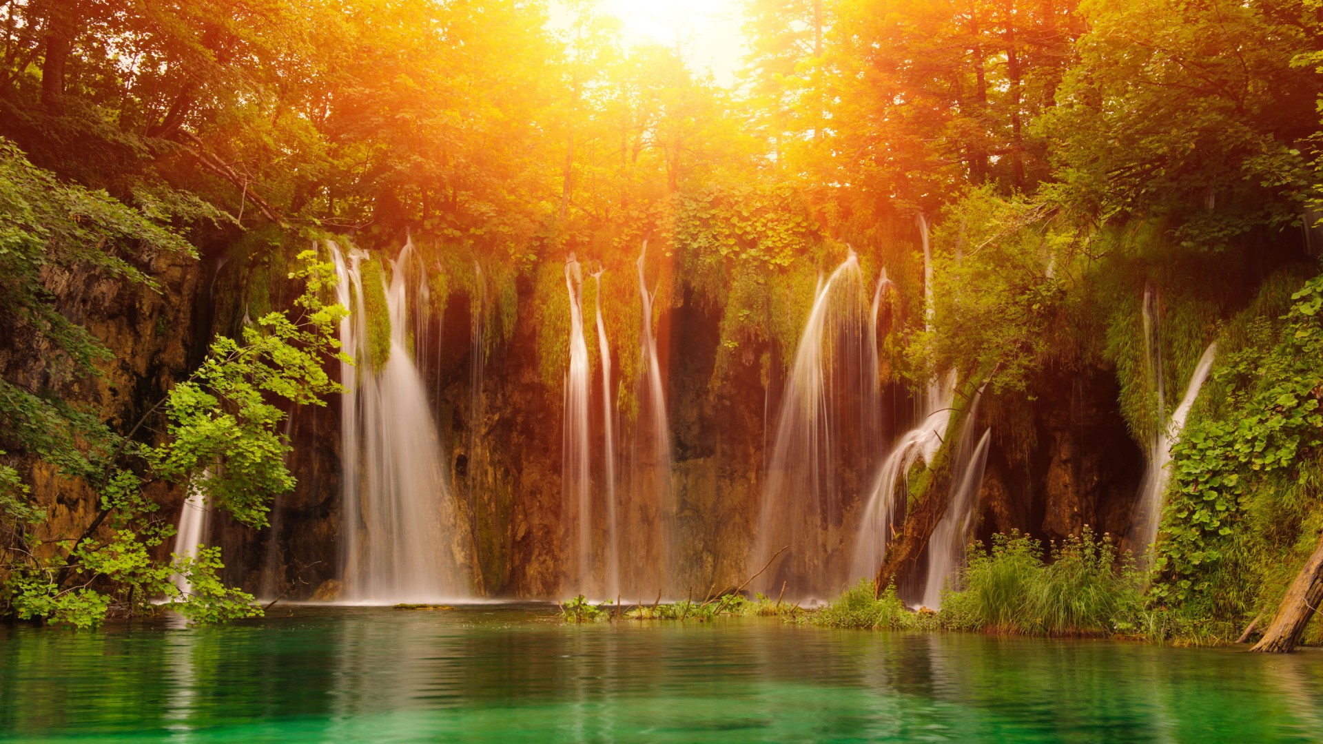 属猪什么数字吉利招财开运