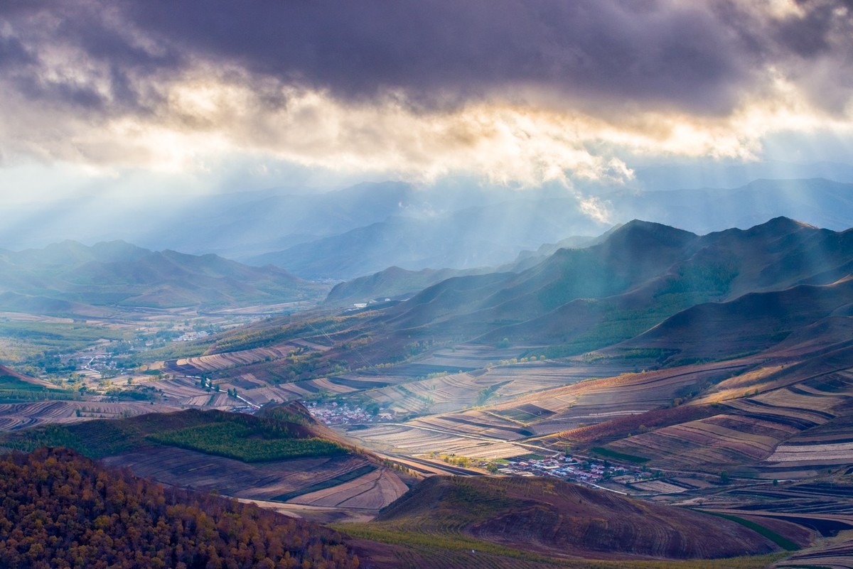属狗的爱情里的雷区