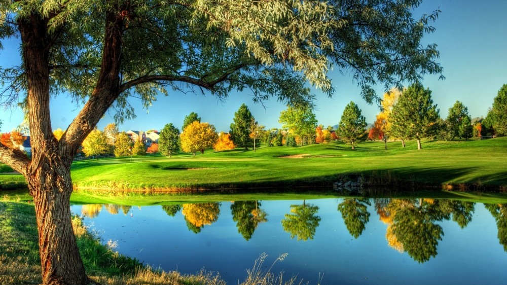 属蛇的幸运色是什么颜色2022年 穿什么颜色好