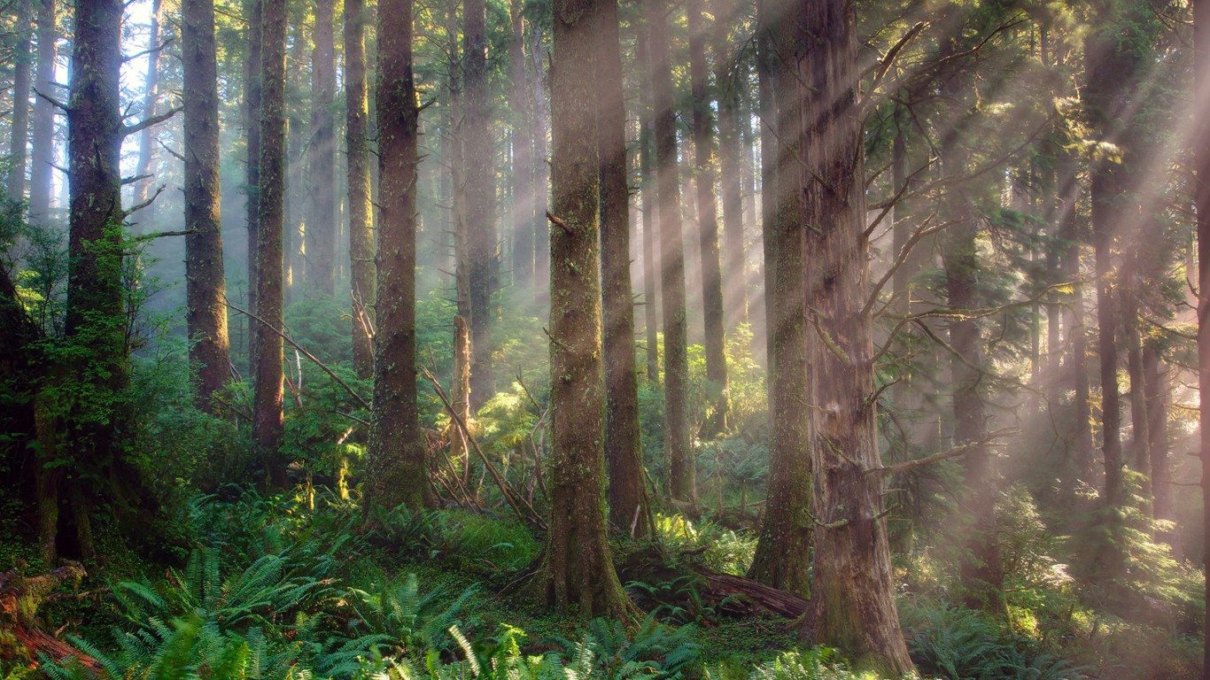 生肖蛇2021年下半年运势大全 工作发展顺利么